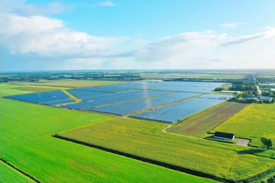 CHINT 103MW Solar Park: the largest one in the Netherlands